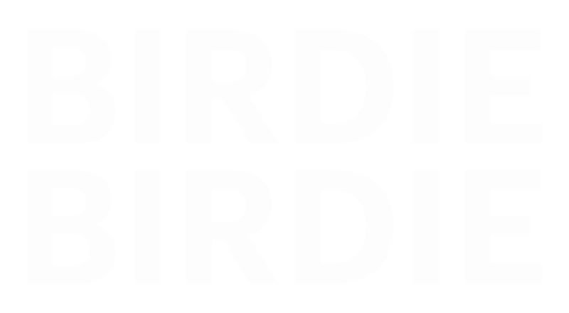 Birdie Birdie golf 
